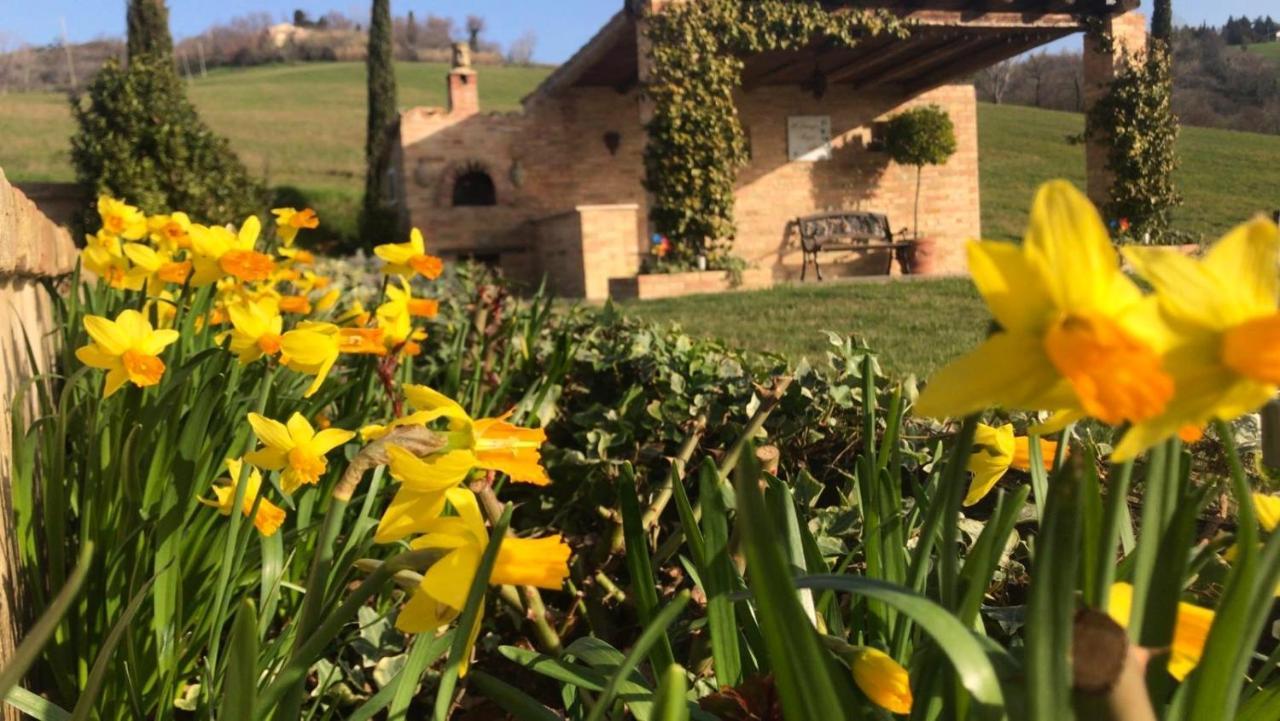 Casale Delle Rondini Bed & Breakfast Tolentino Exterior photo