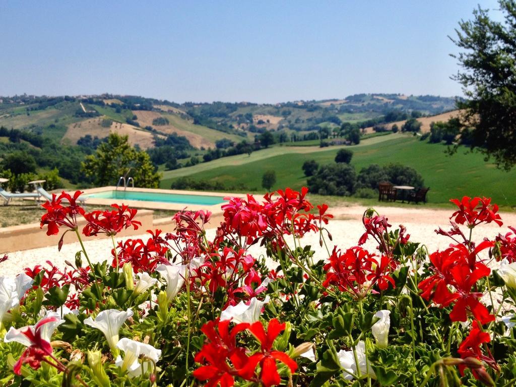 Casale Delle Rondini Bed & Breakfast Tolentino Exterior photo