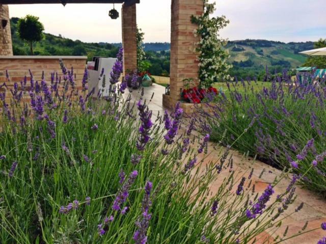 Casale Delle Rondini Bed & Breakfast Tolentino Exterior photo