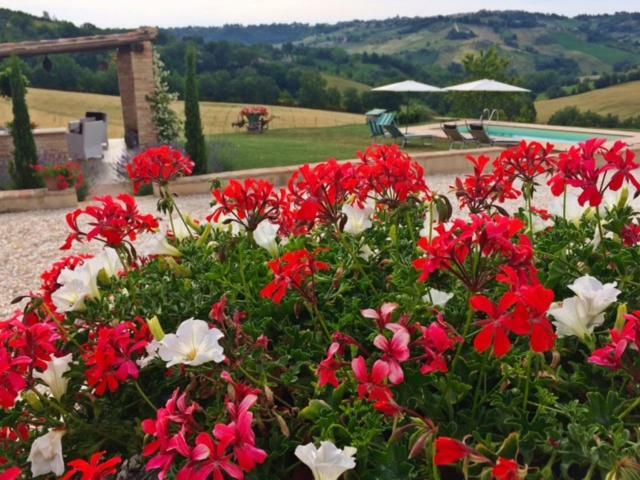 Casale Delle Rondini Bed & Breakfast Tolentino Exterior photo