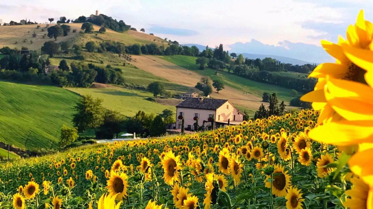 Casale Delle Rondini Bed & Breakfast Tolentino Exterior photo