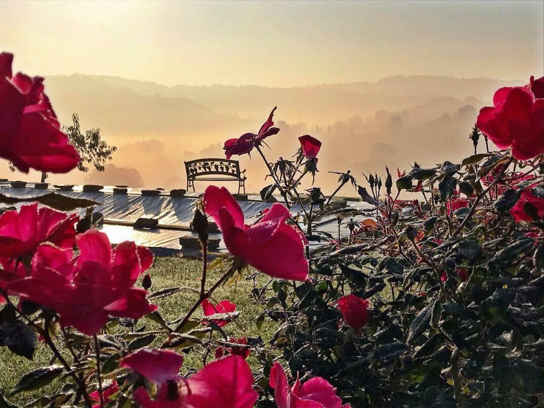 Casale Delle Rondini Bed & Breakfast Tolentino Exterior photo
